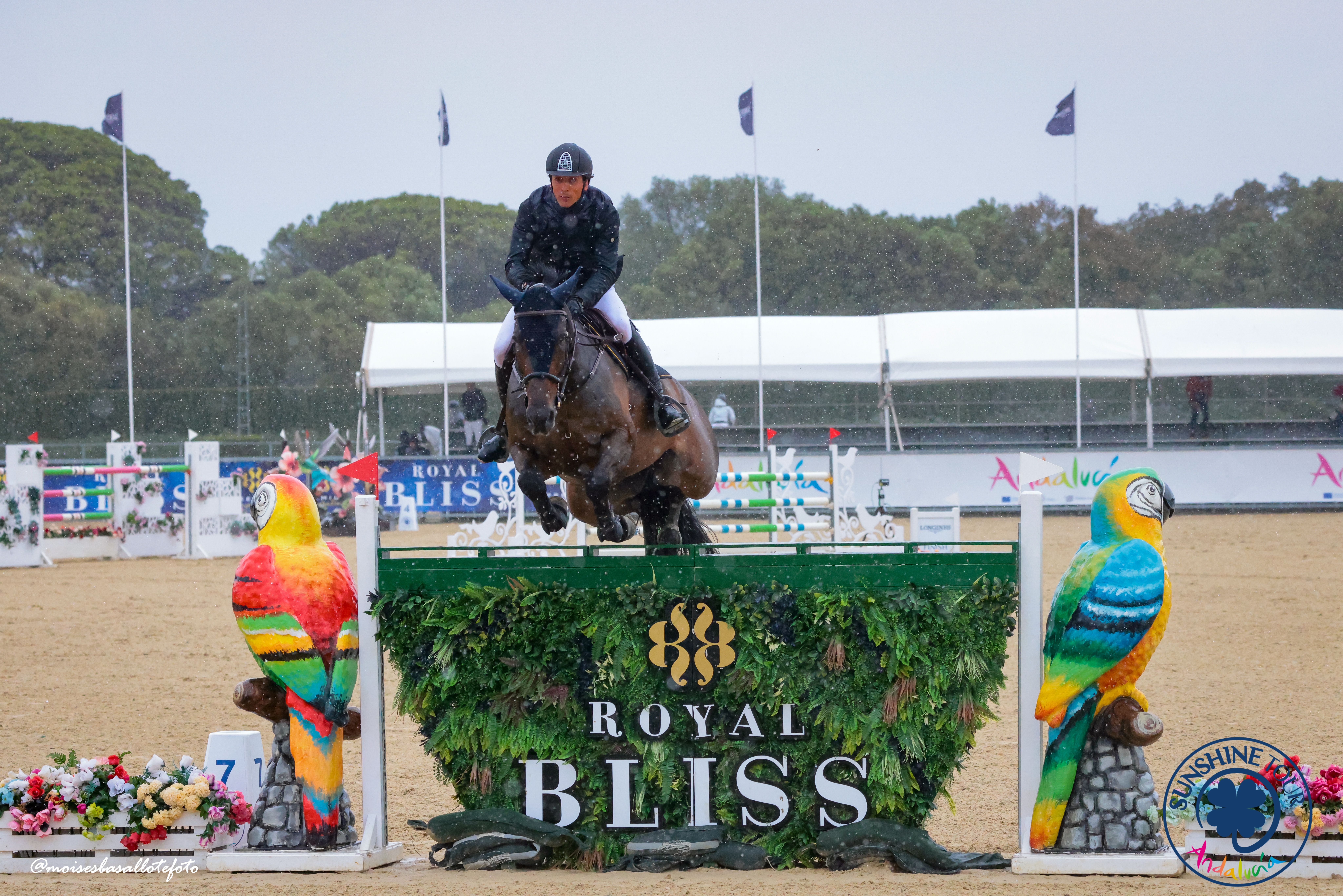 National Equestrian League