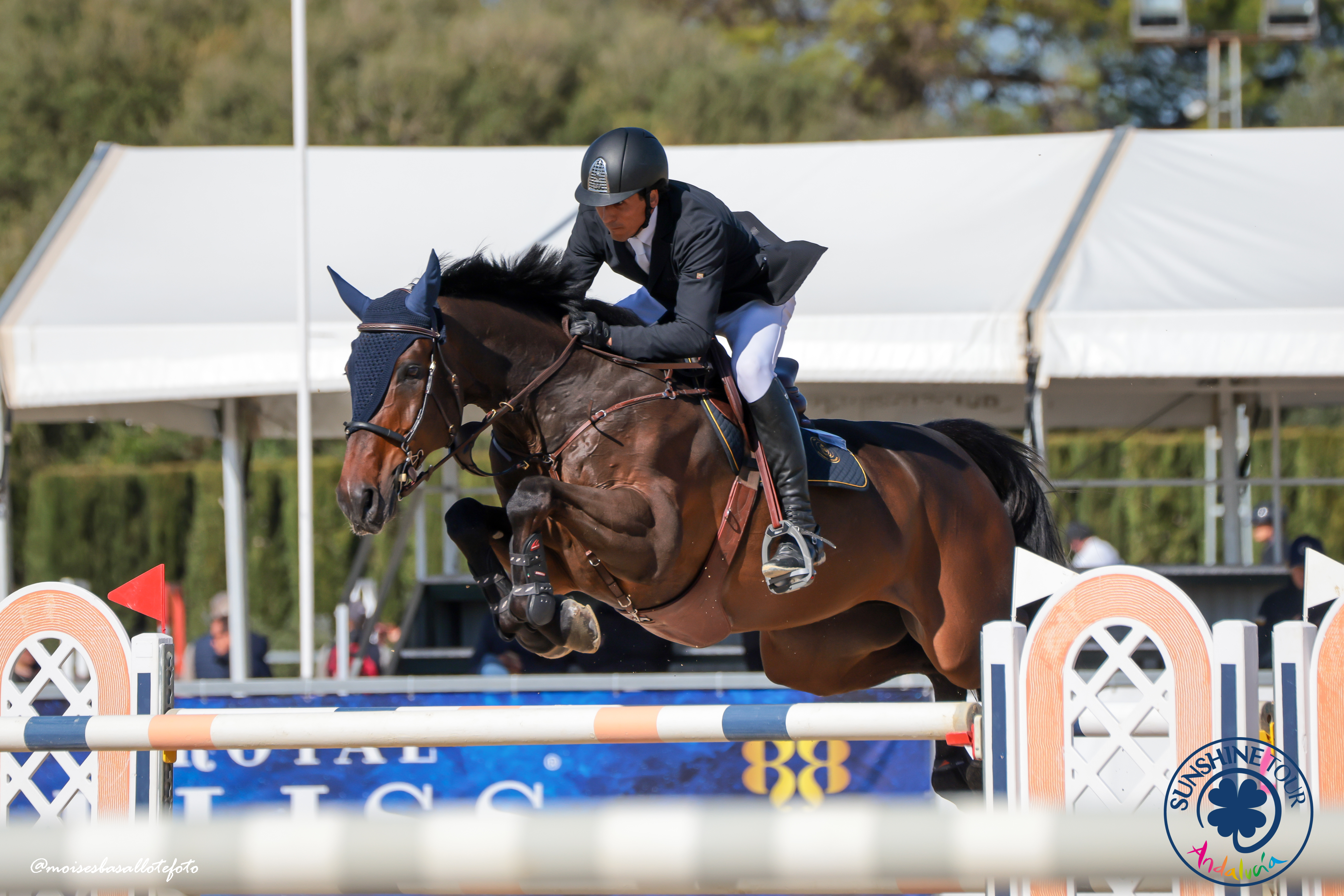 Professional Show Jumper
