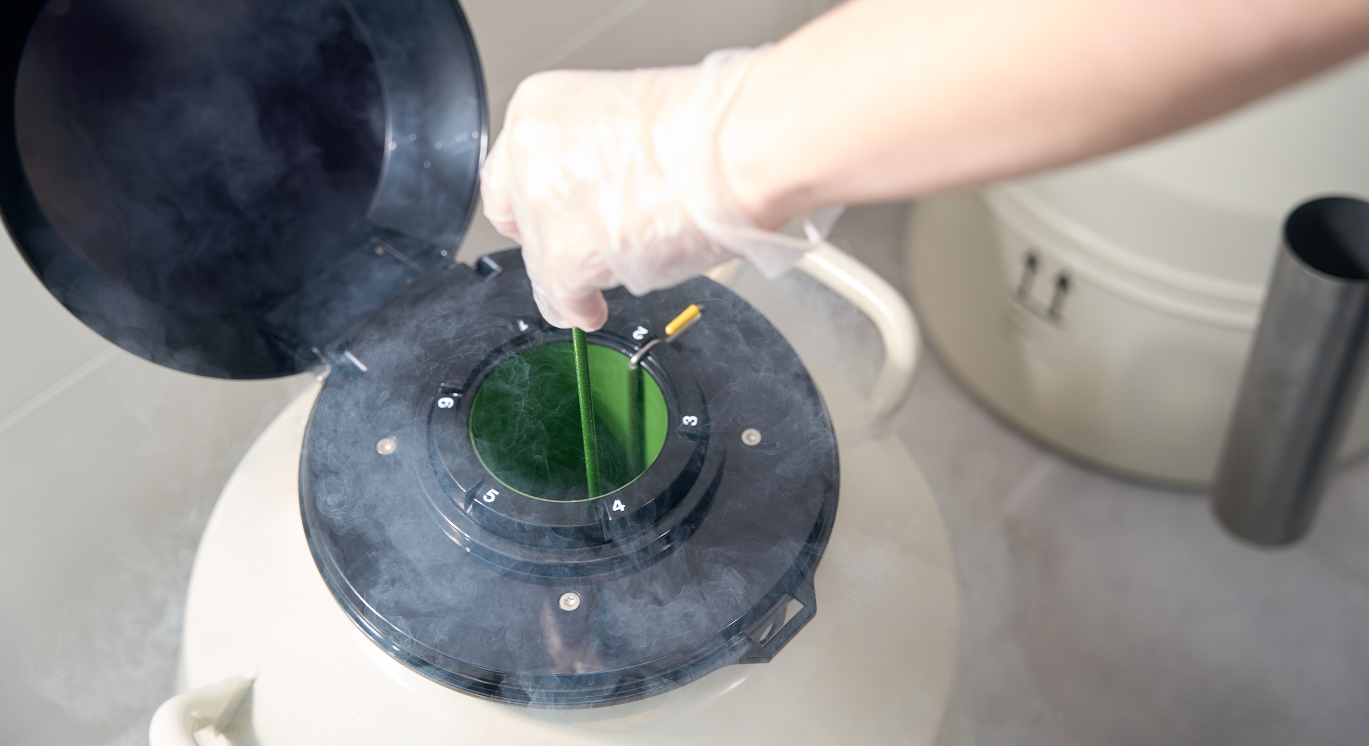 Odor Removal