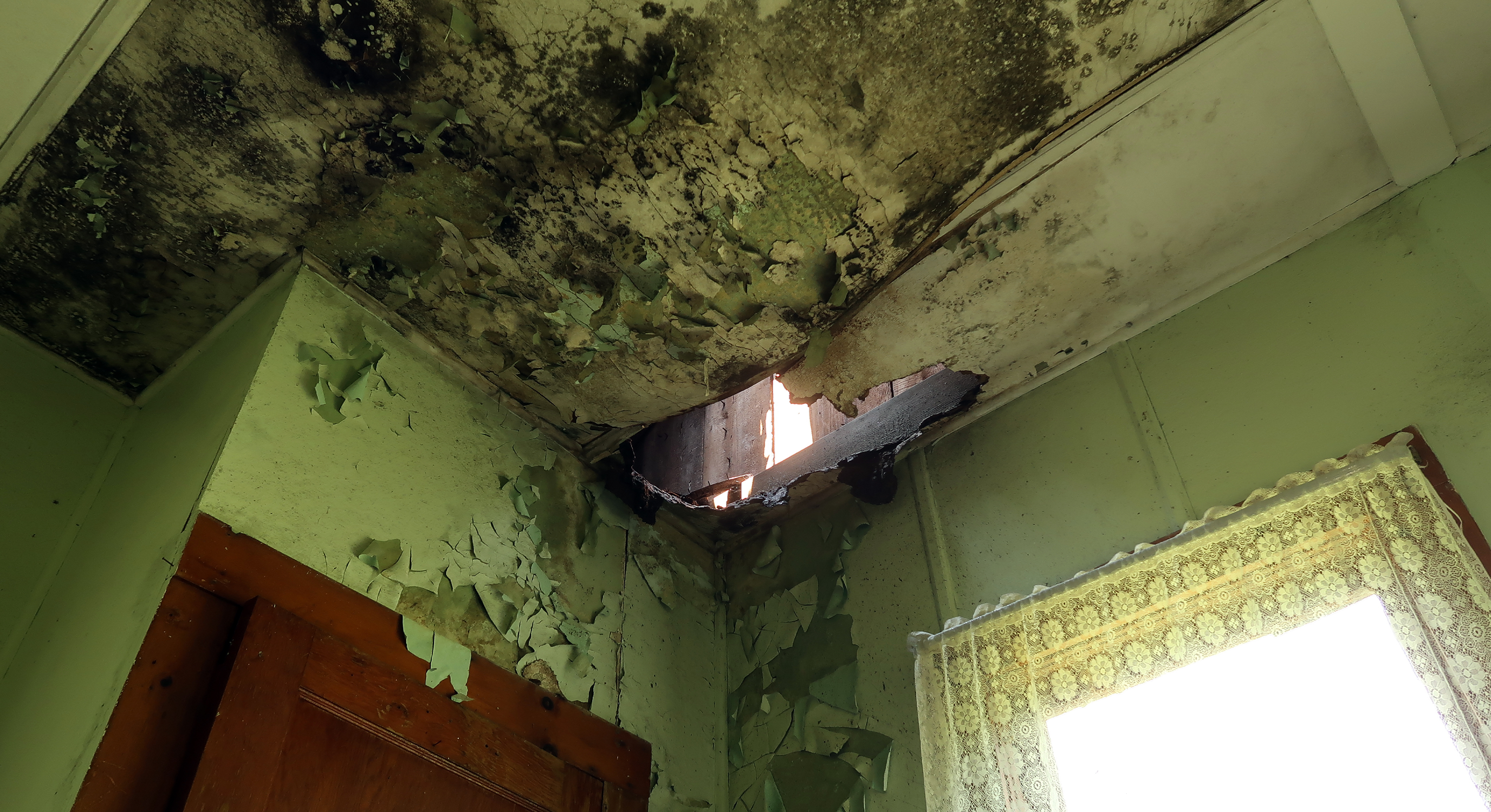 Mold Remediation