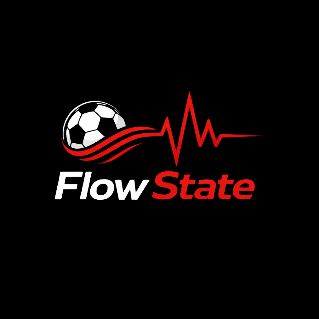 Flow State Logo