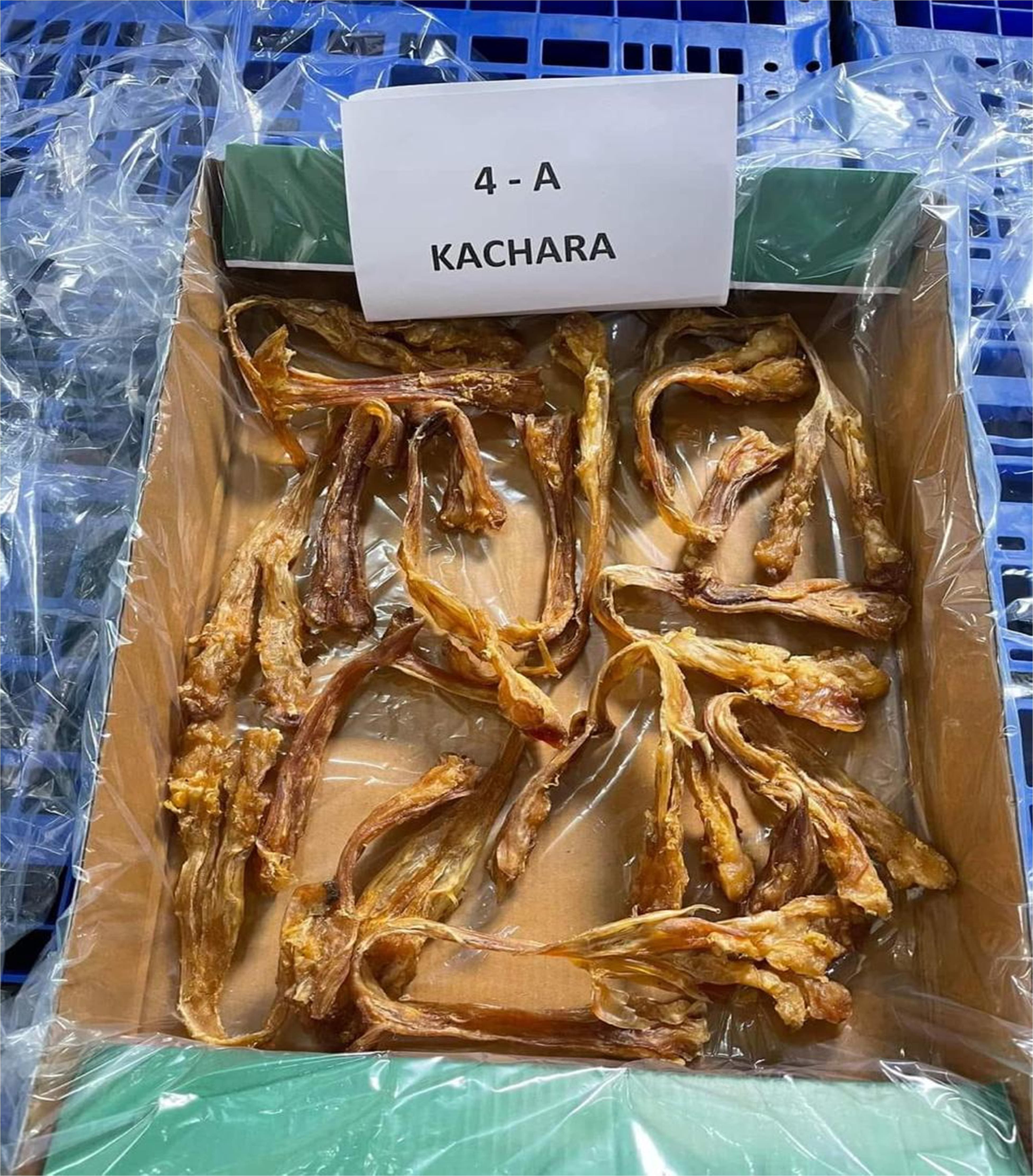Dried buffalo leg tendon for export