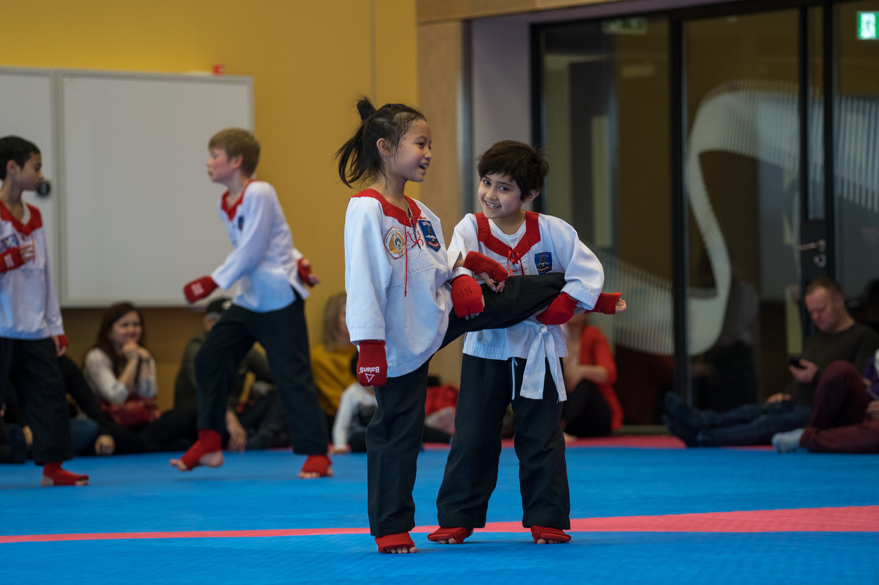 Dojo Training