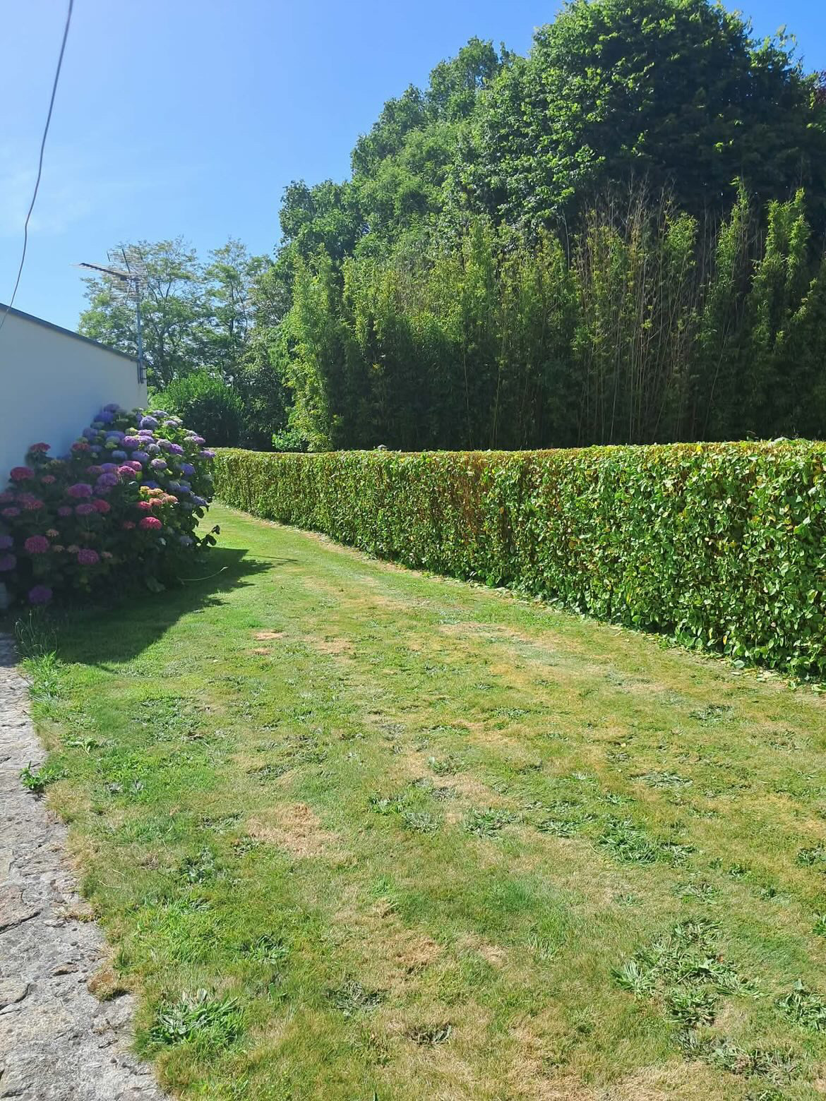 Après