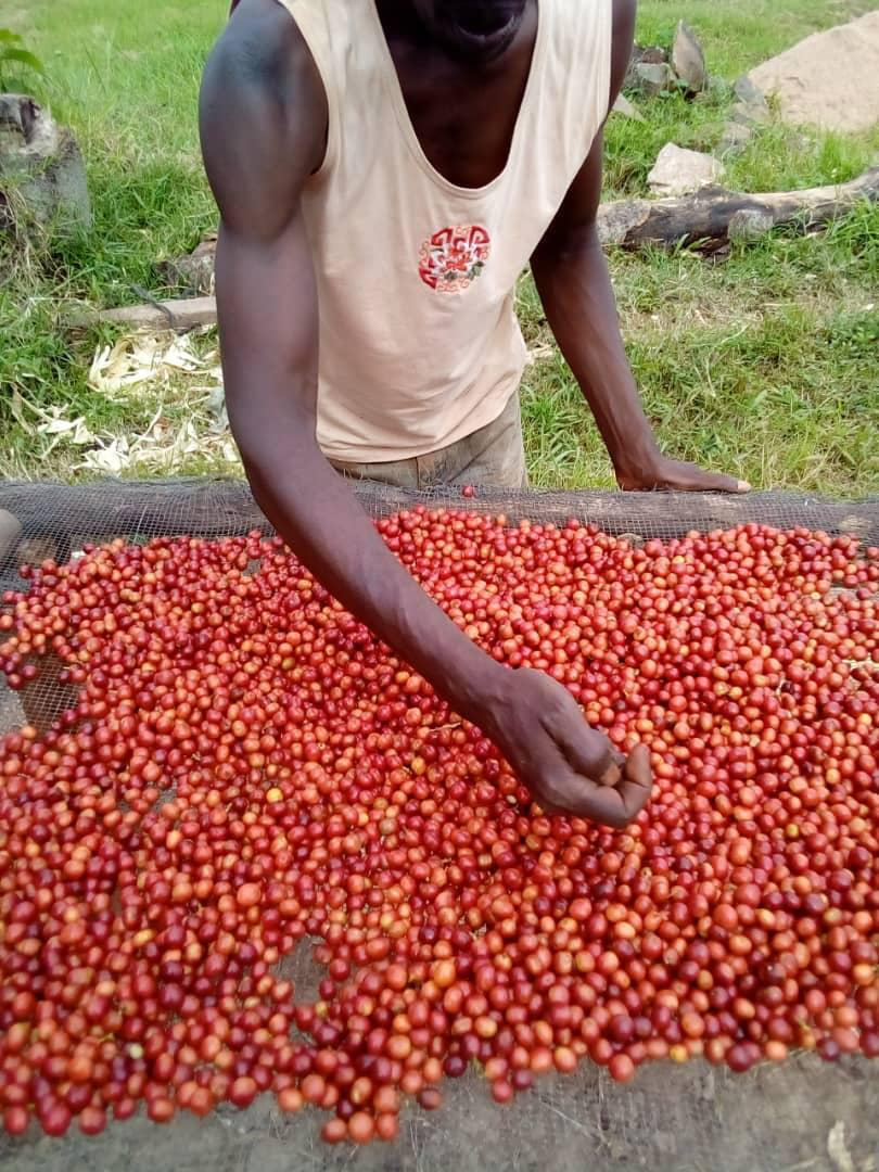 Specialty Coffee
