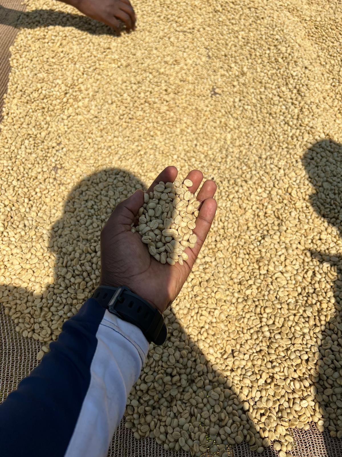Rwanda Single-Origin