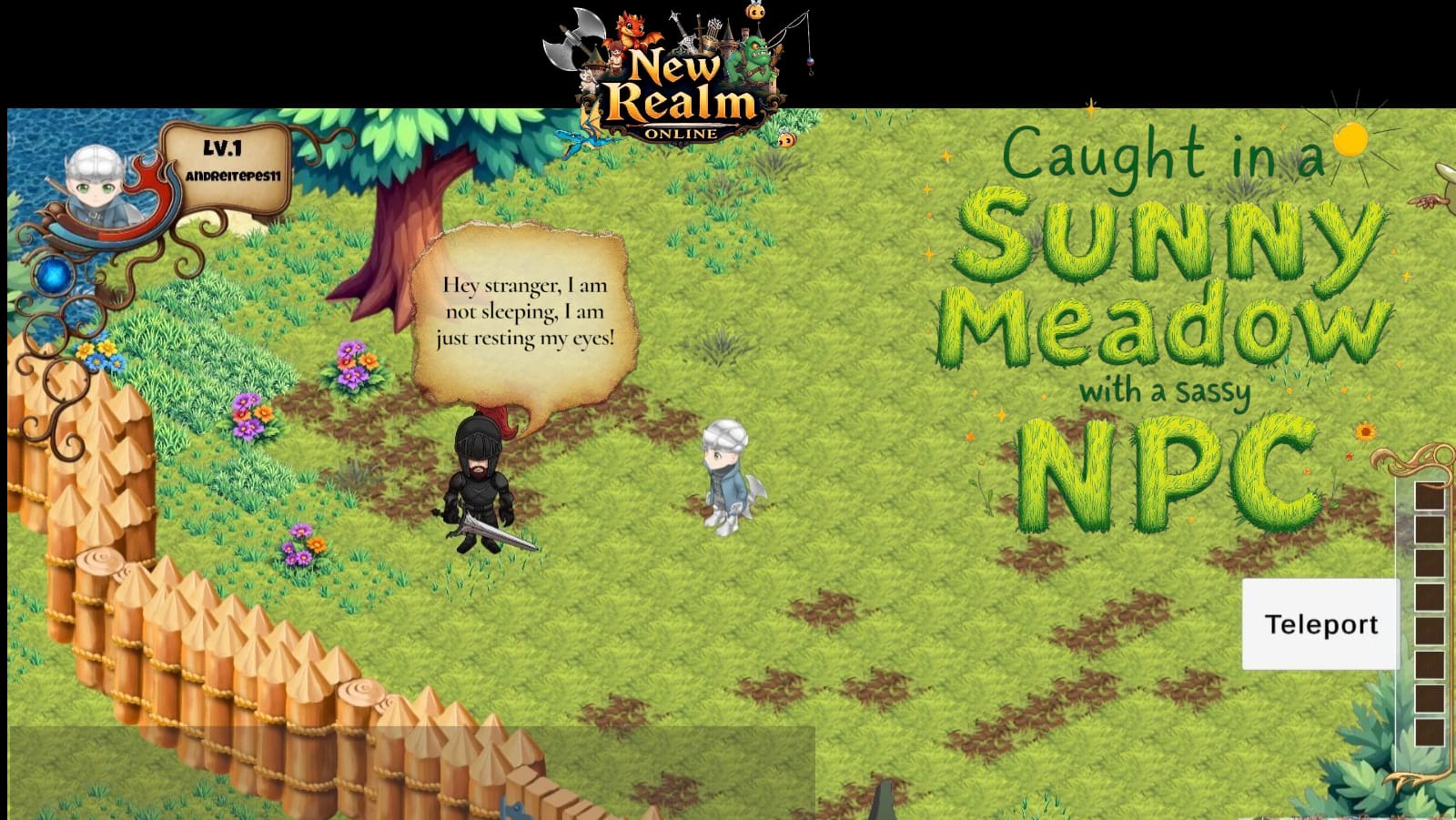 New Realm Online — Caught in a sunny meadow with a sassy NPC