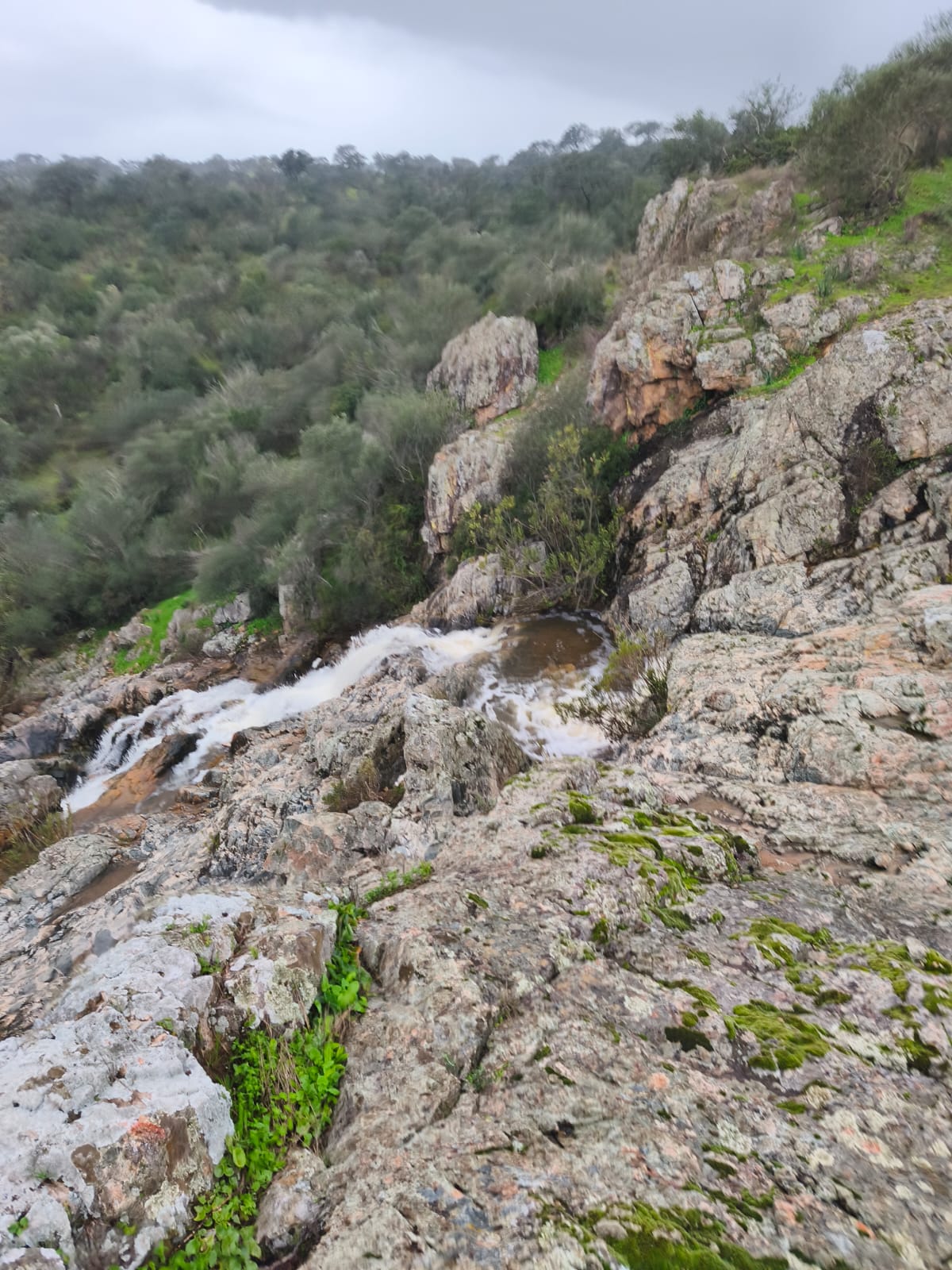 Finca La Cascada