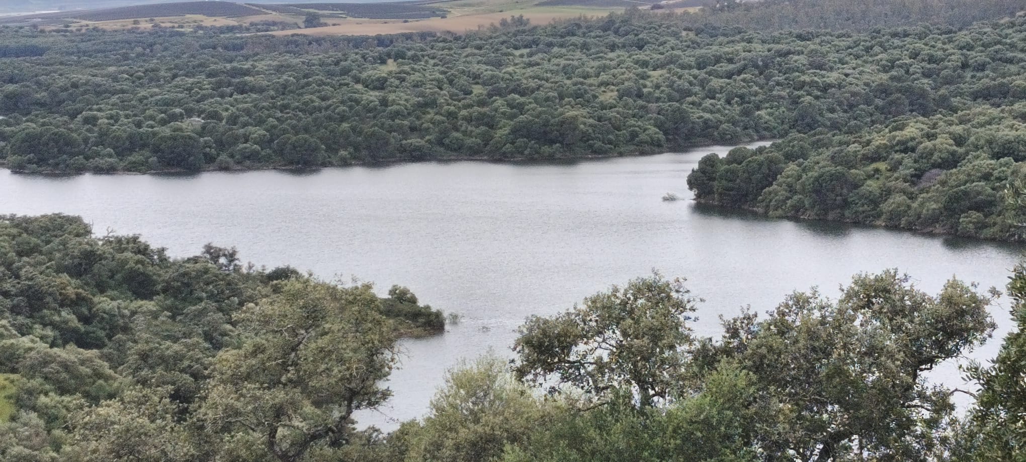 Finca La Lapa