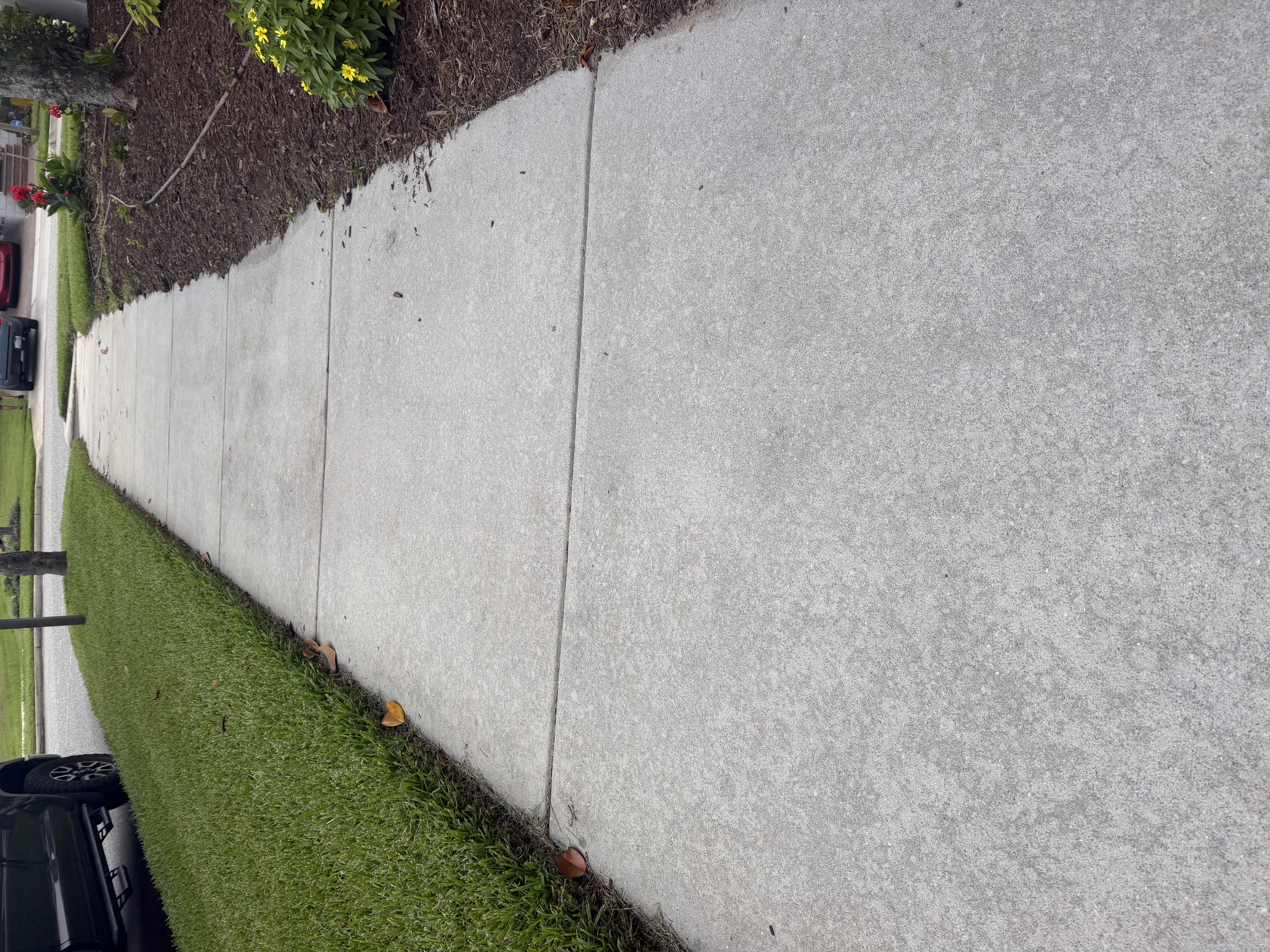 Sidewalk pressure washing before and after cleaning near flower beds in Narcoossee