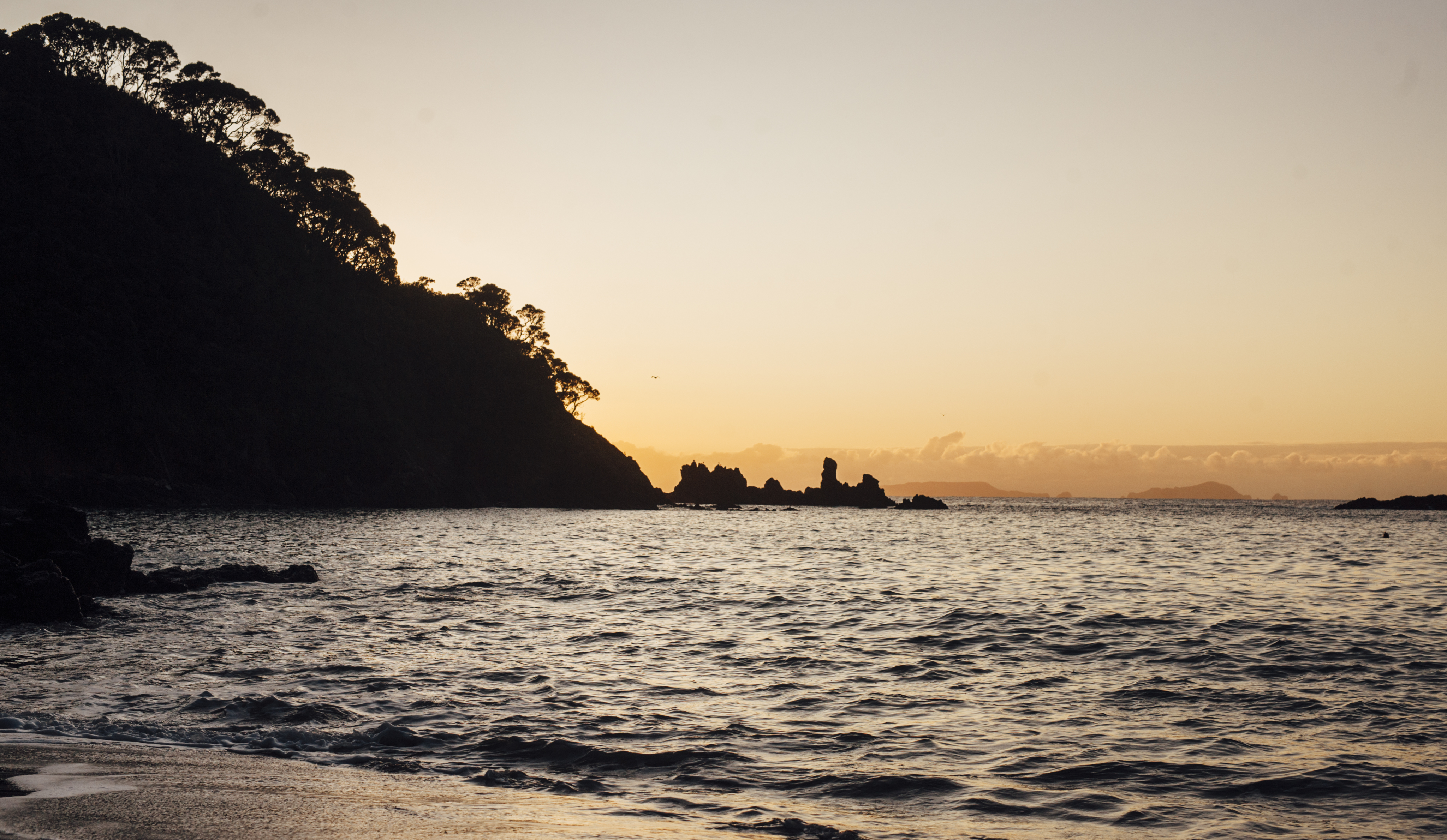 Whananaki coastline at golden hour