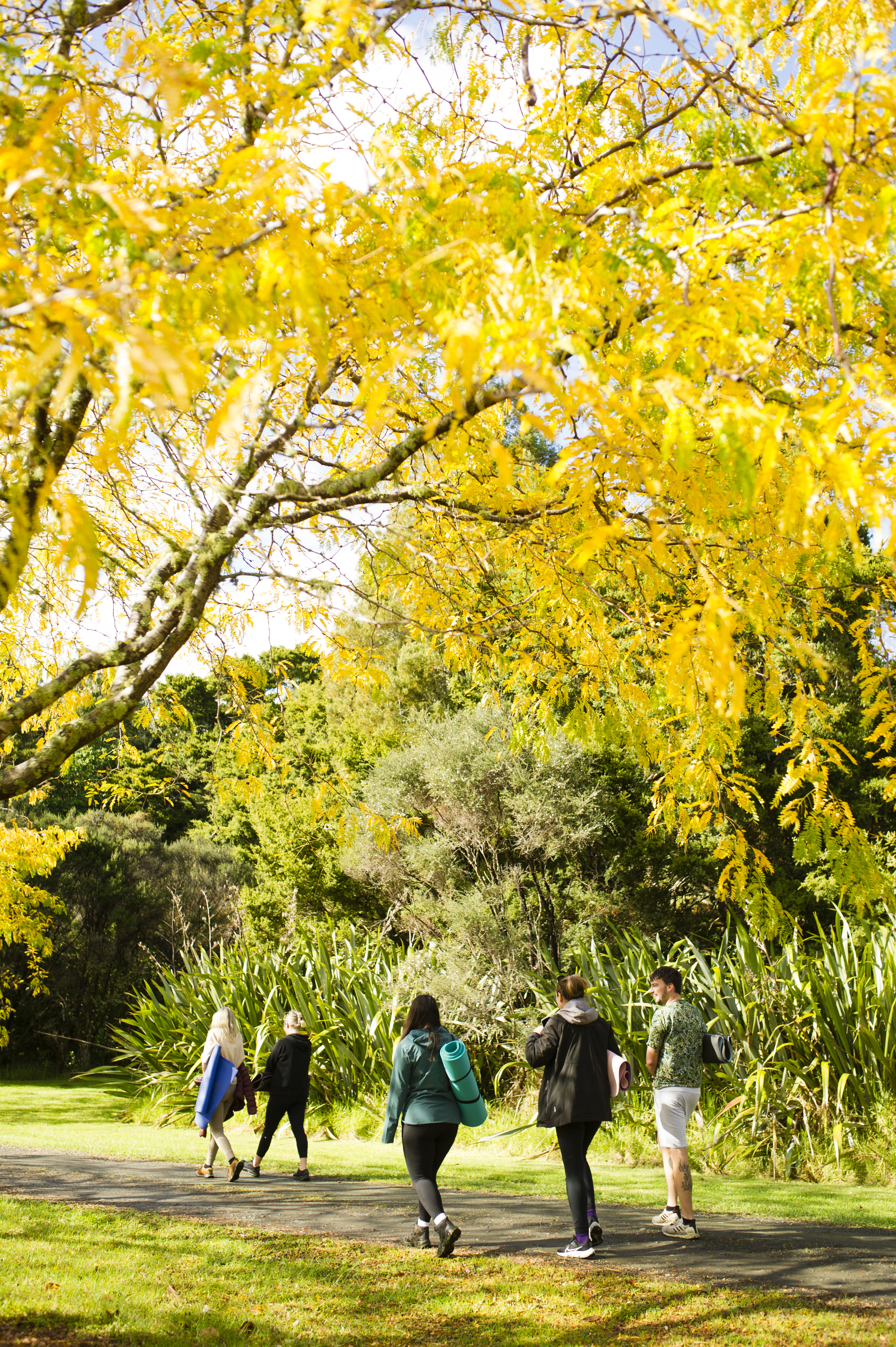 A small group walking slowly beneath golden autumn trees