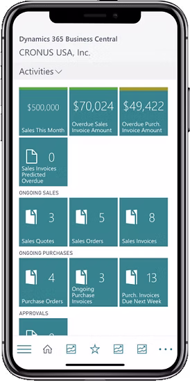 Business Central Mobile Interface