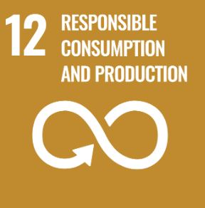 SDG 12 Responsible Consumption & Production