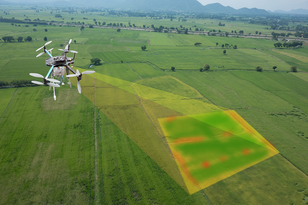 Dron sobrevolando finca con análisis de zonas de vigor