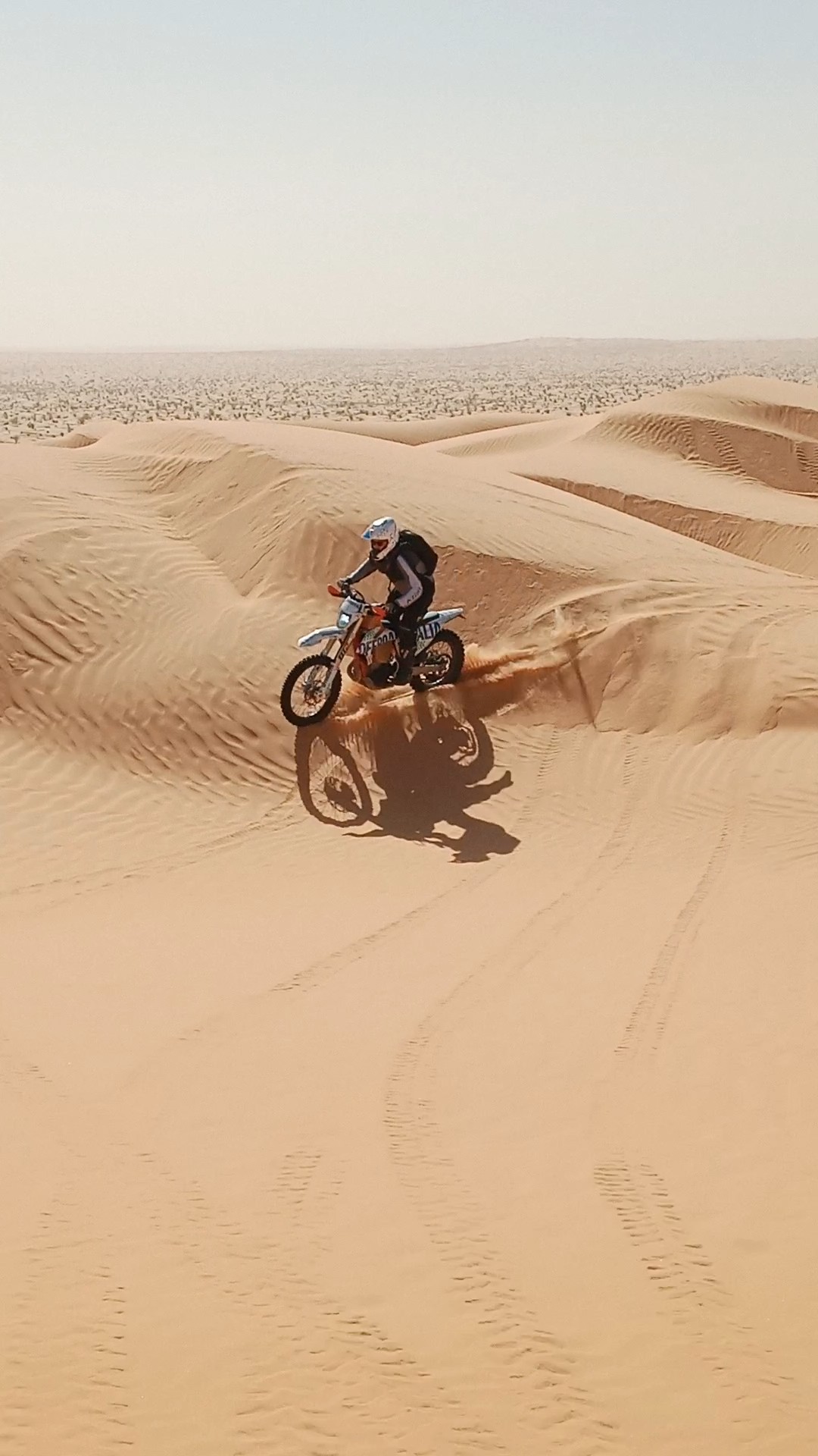 Solitario nel mare di dune