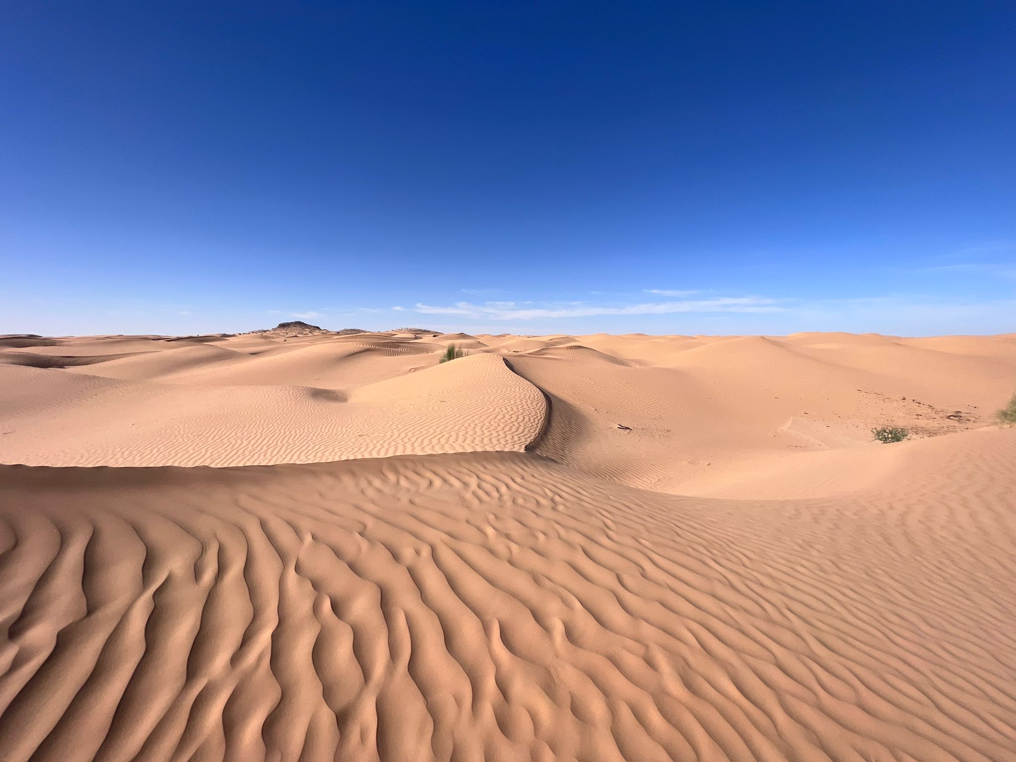 Dune dorate