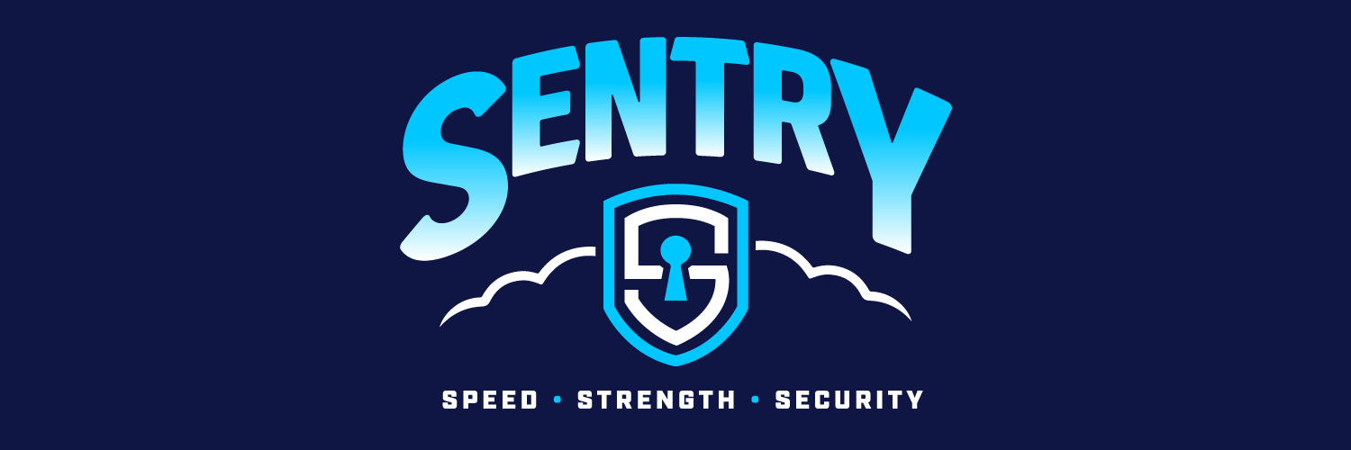 Sentry Cloud IT