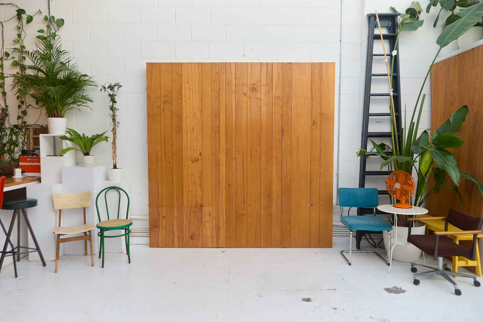 Studio props — wood backdrop, plants, vintage chairs and ladder