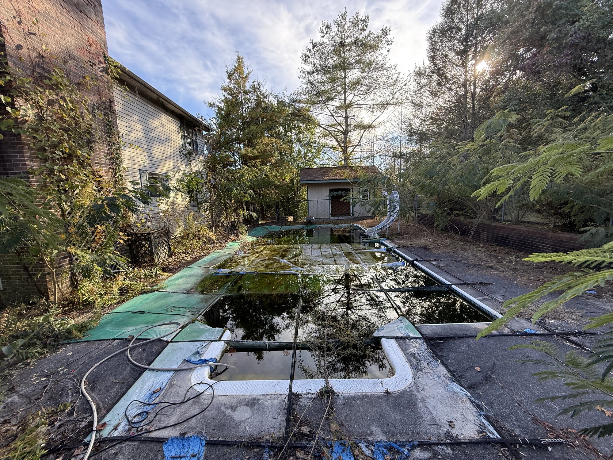 Pool & Backyard Restoration before