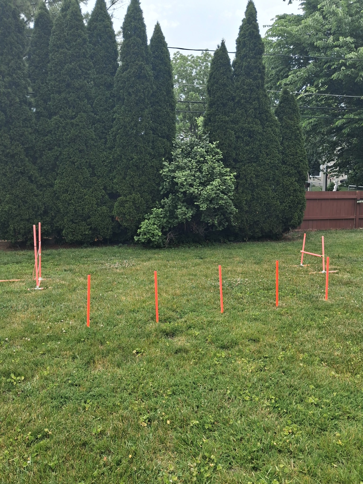 DeMarco's Fully Fenced Yard — photo 1