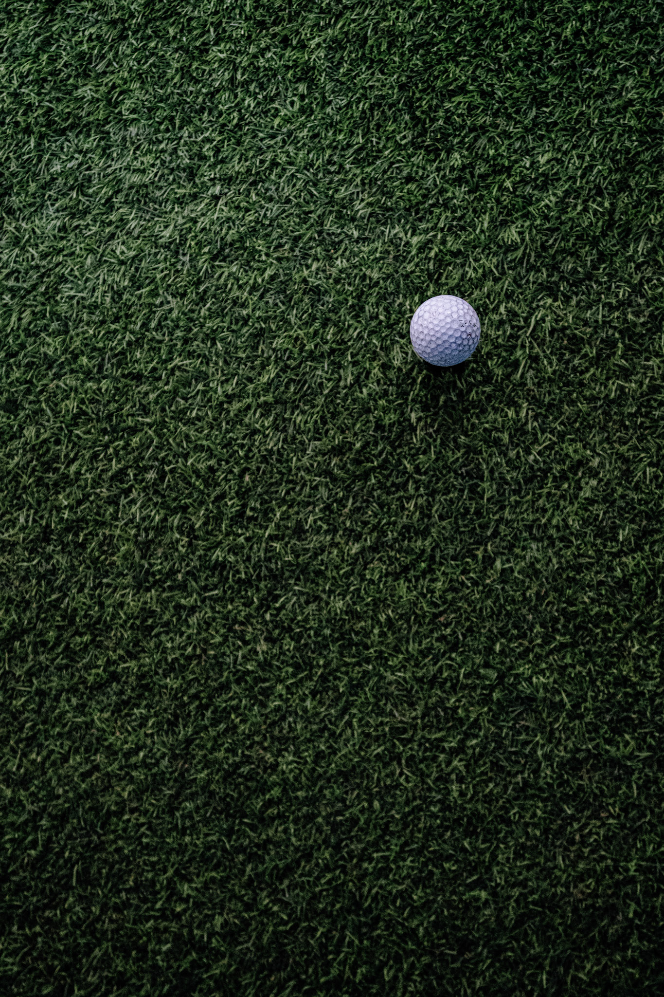 Golf ball on green turf — Padelarena indoor golf