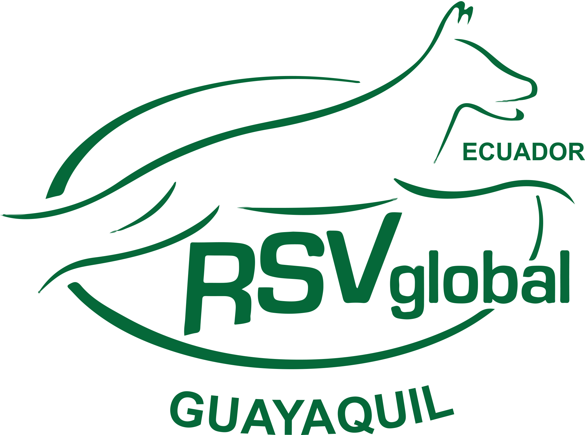 RSV Global Guayaquil