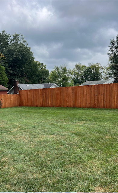 Fence Painting