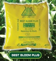 Best Bloom