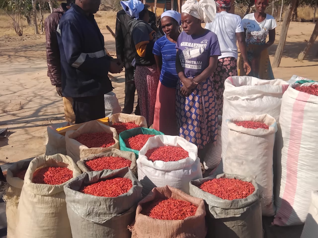 Smallholder stories: a family's first contracted hectare