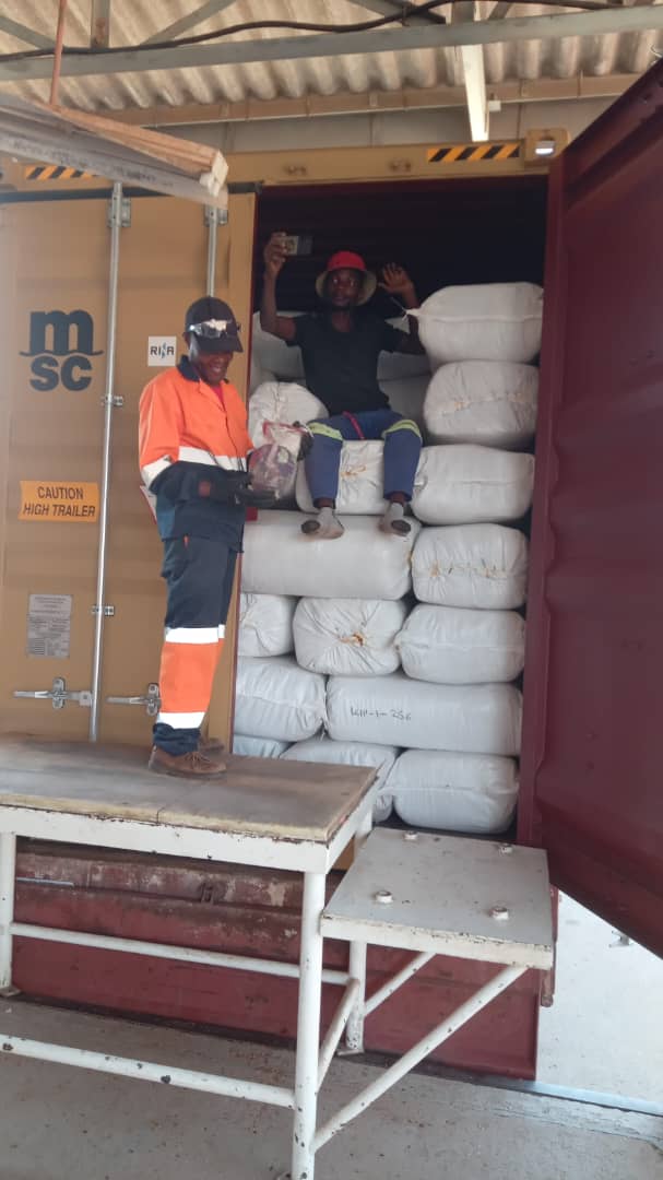 From harvest to export: inside our warehousing