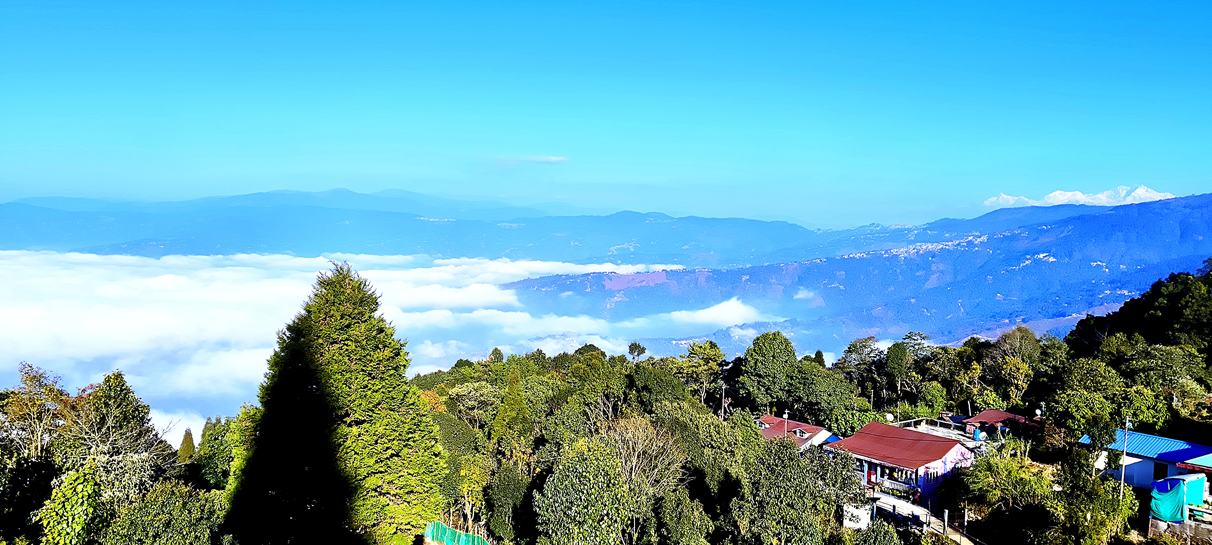 White Orchid Homestay 3