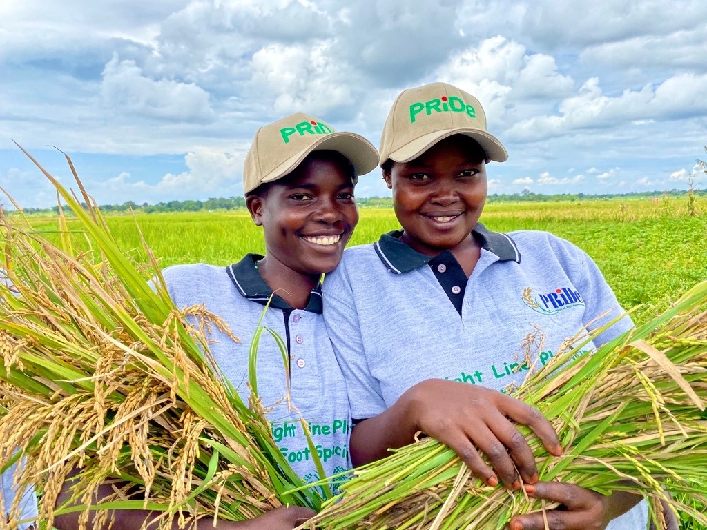 PRiDe Program – Rice Farming