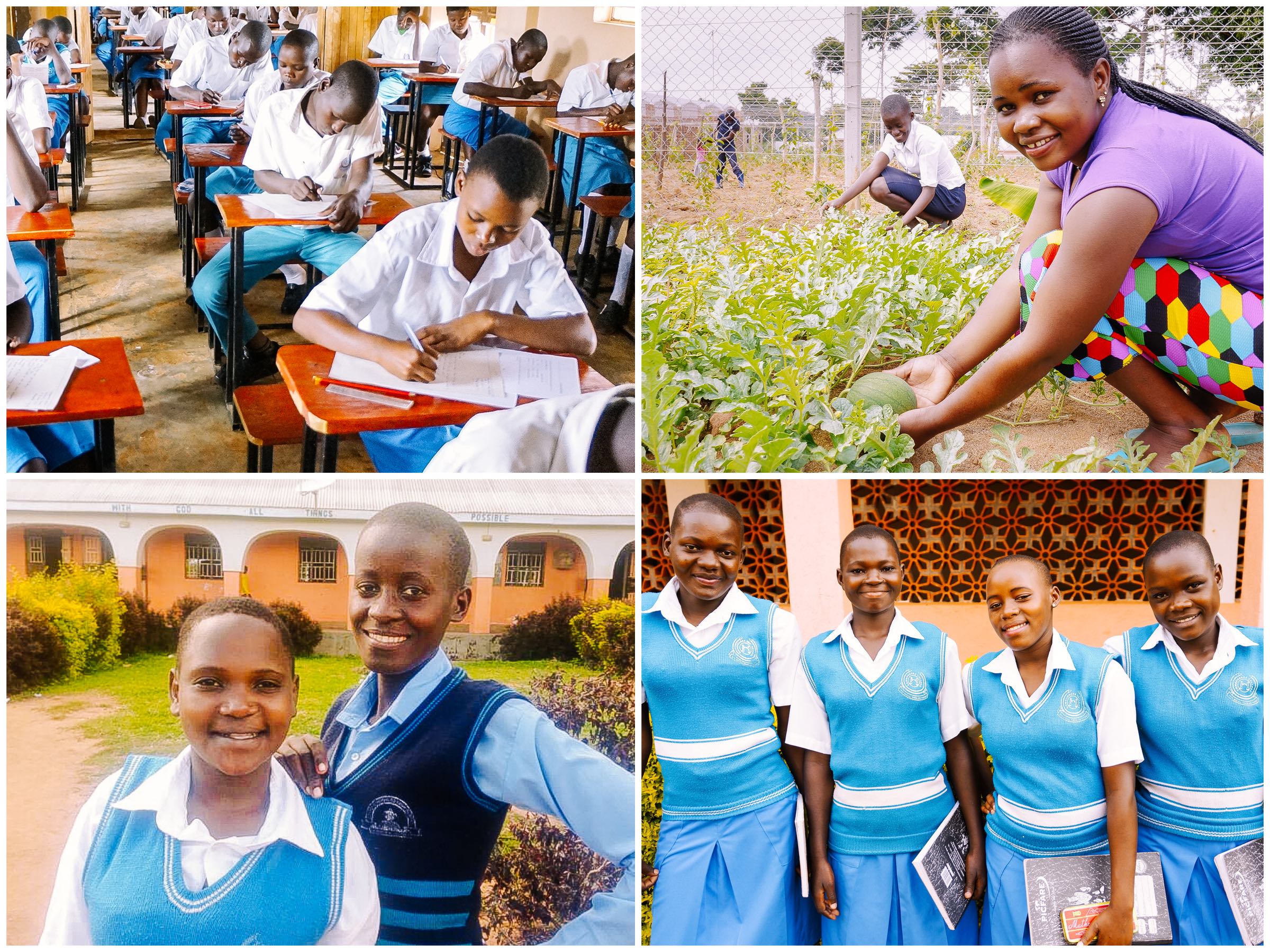 Students Collage