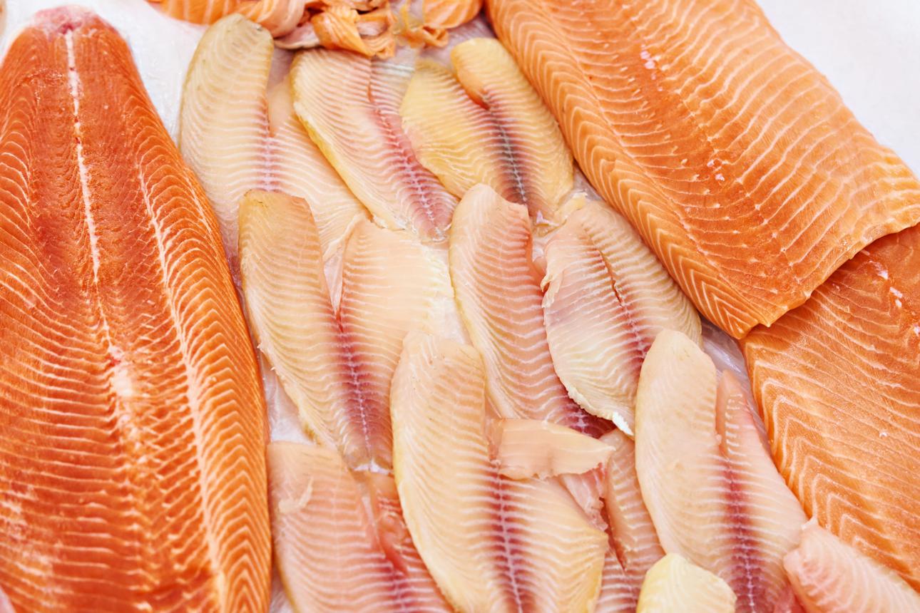 Filetes frescos de salmón y tilapia