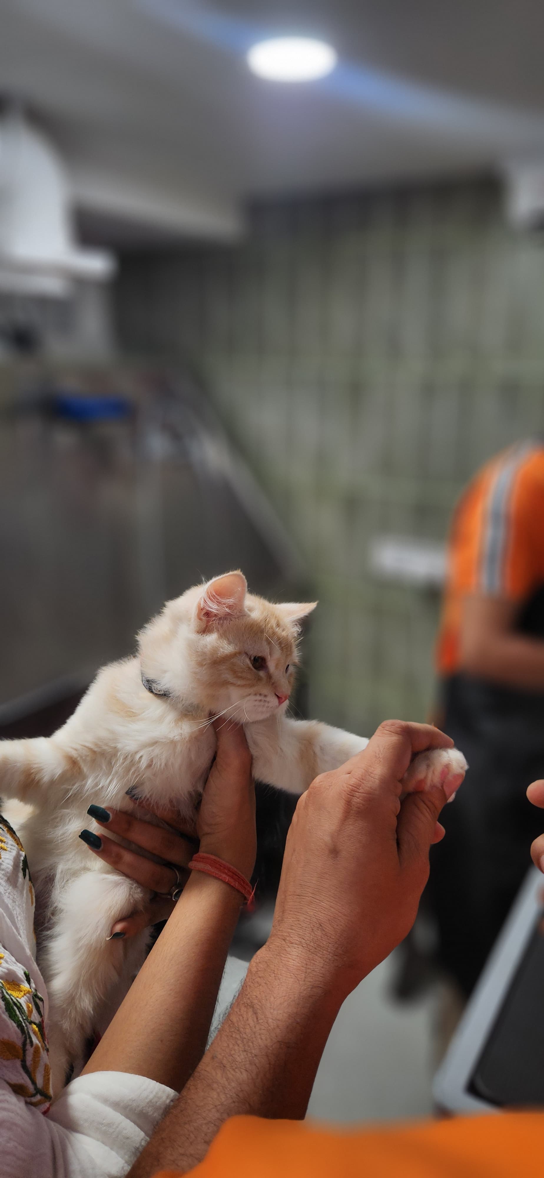 Ichi and Ori — born from love