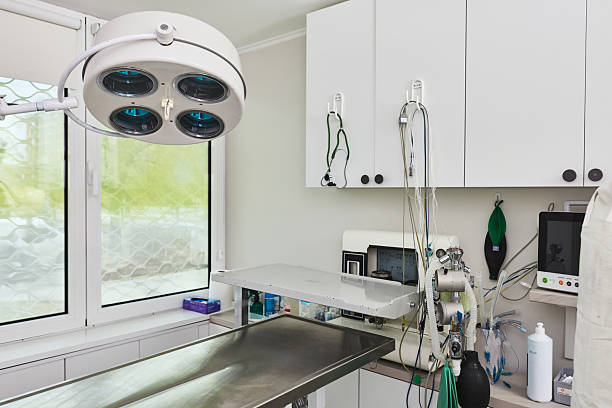 Surgical suite at Ichi and Ori Pet Care, Noida