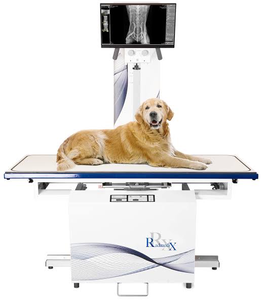 Digital DR X-Ray at Ichi and Ori Pet Care, Noida