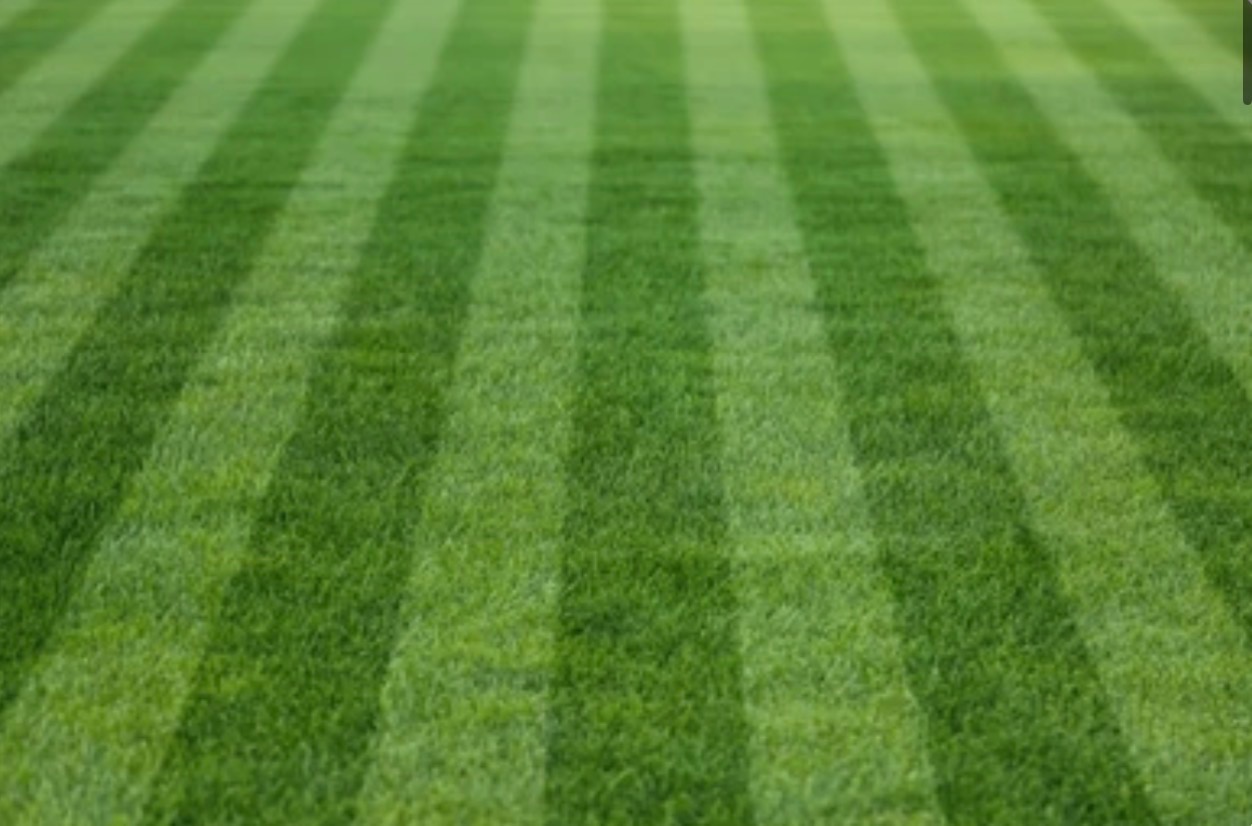 Lawn Mowing