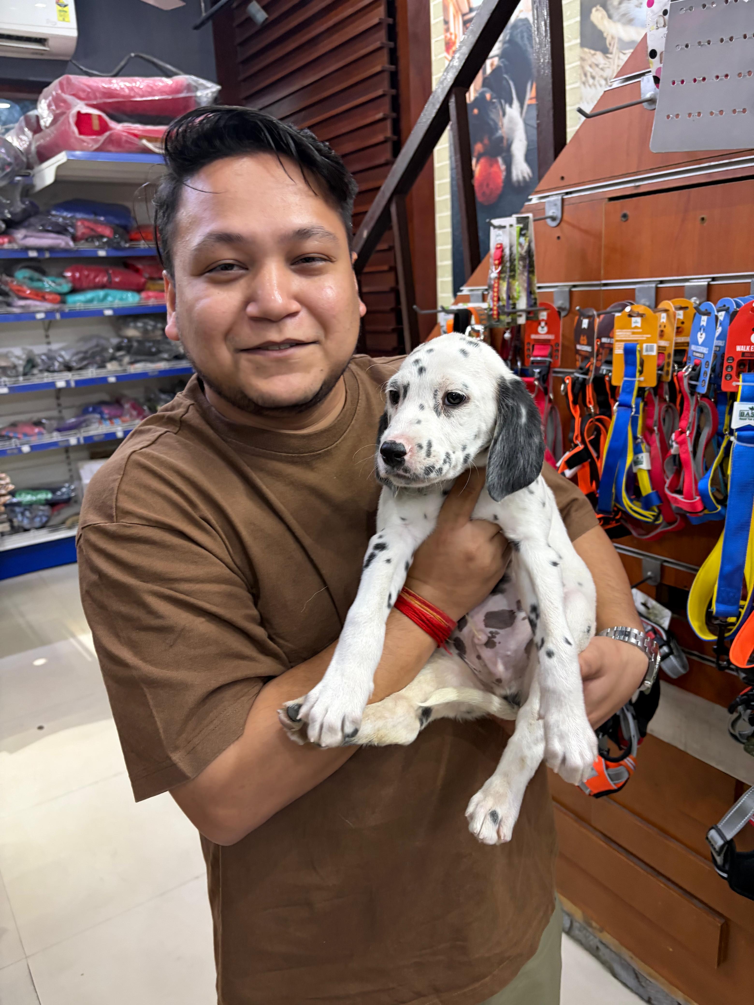 Happy couple with white puppy