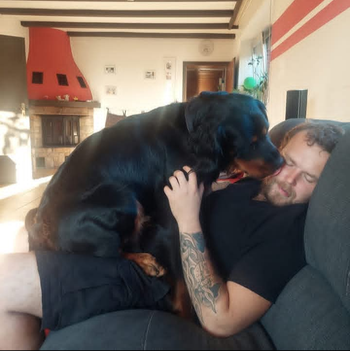 Dom mit seinem Hund