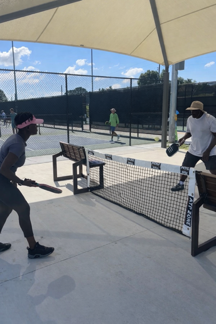 When the Courts Are Packed