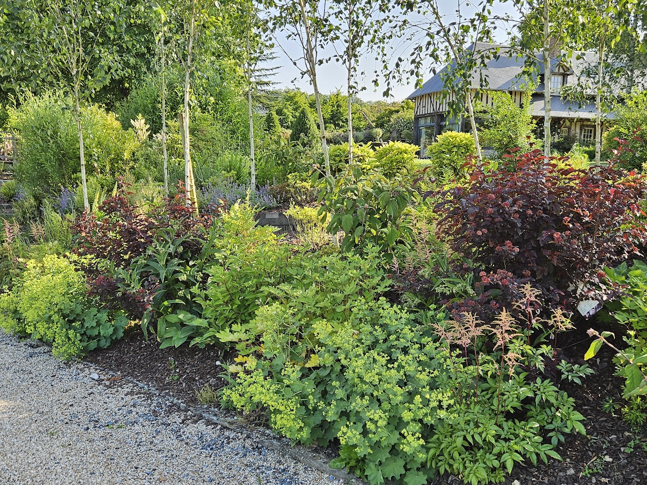 Jardin de Suzanne 10
