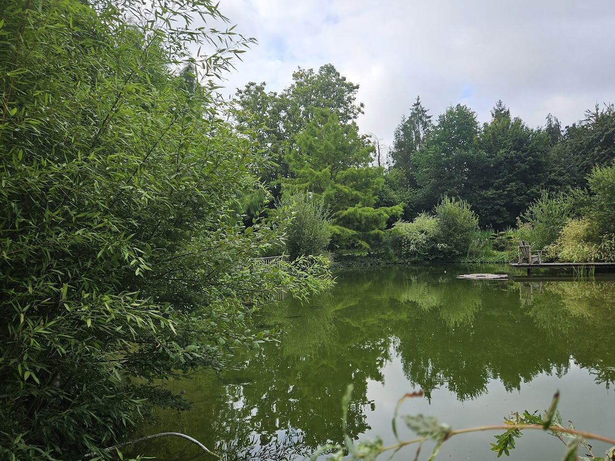 Jardin de Suzanne 13