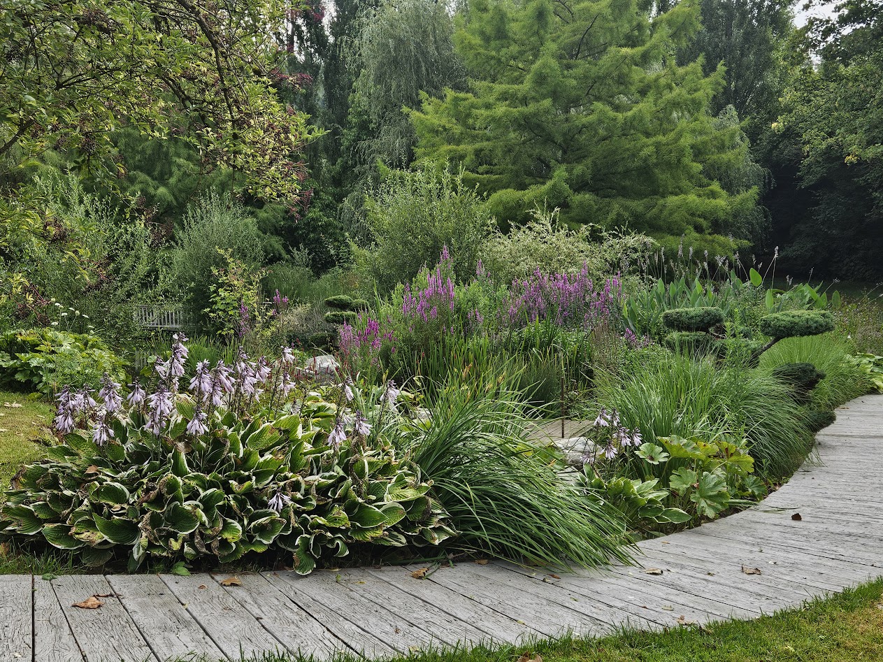 Jardin de Suzanne 11