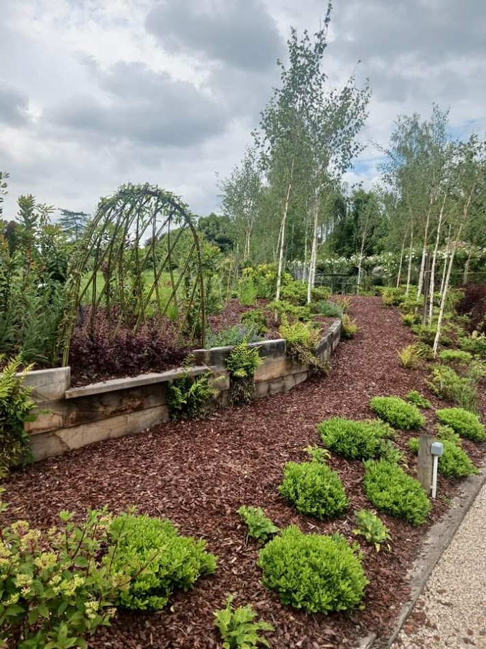 Jardin de Suzanne 4