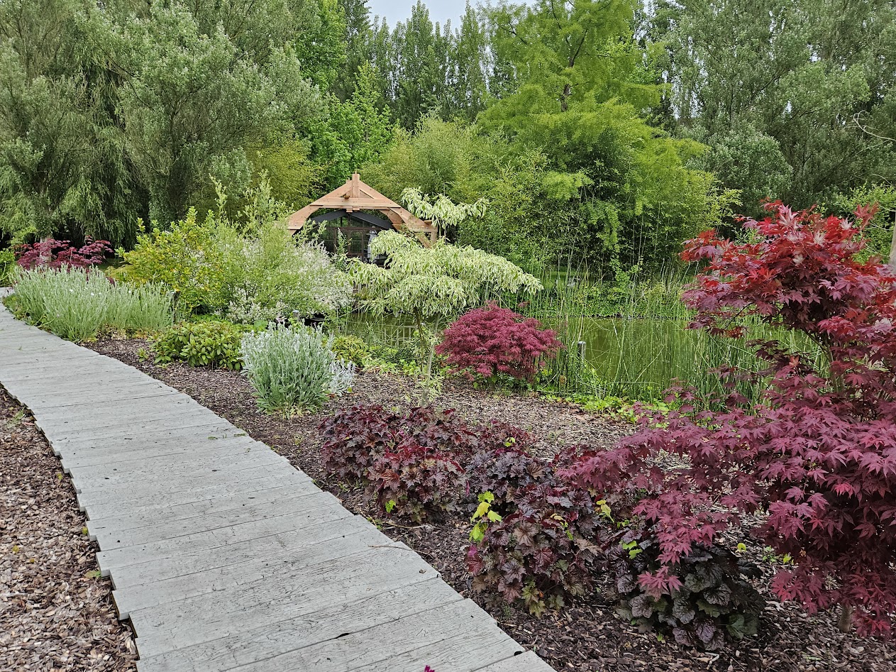 Jardin de Suzanne 9