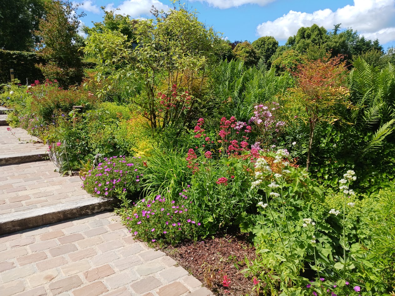 Jardin de Suzanne 3