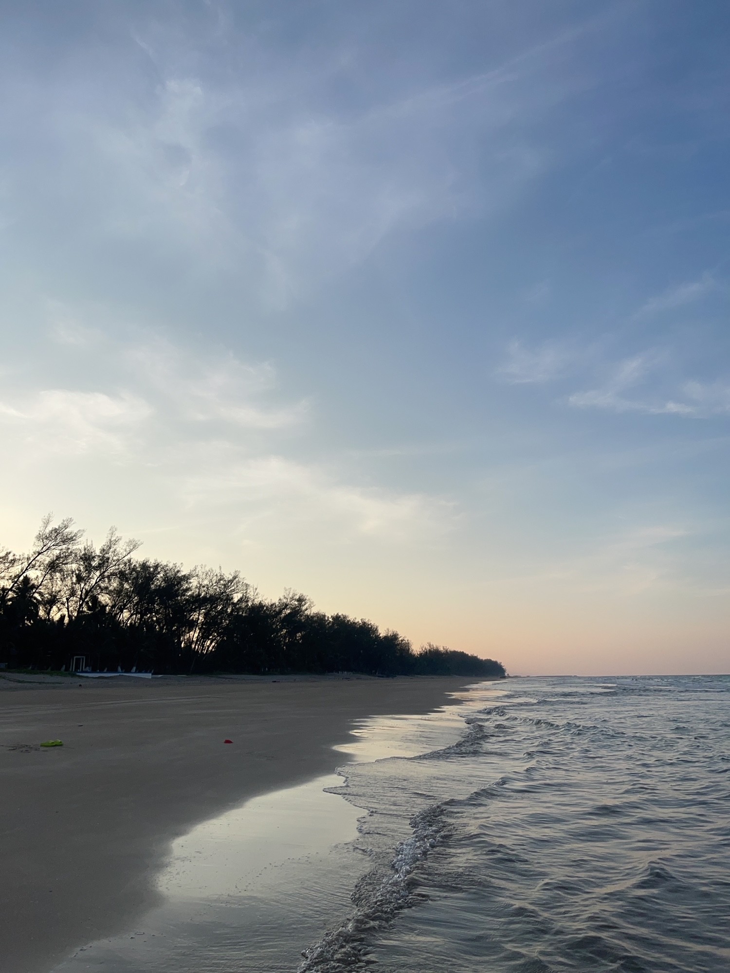 Flora y fauna de la costa de Veracruz: qué verás en Barra de Galindo