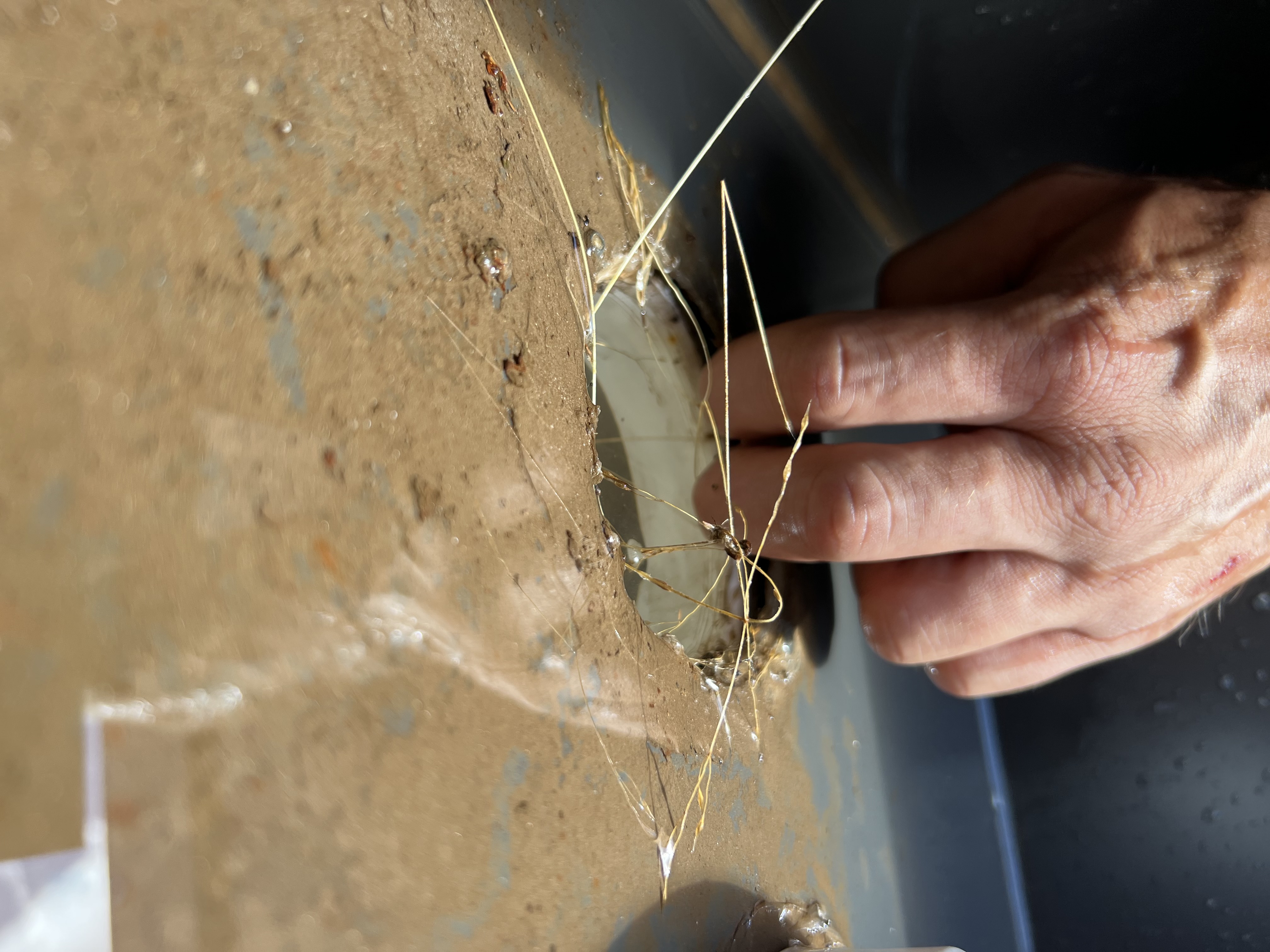 Leak Detection & Repairs